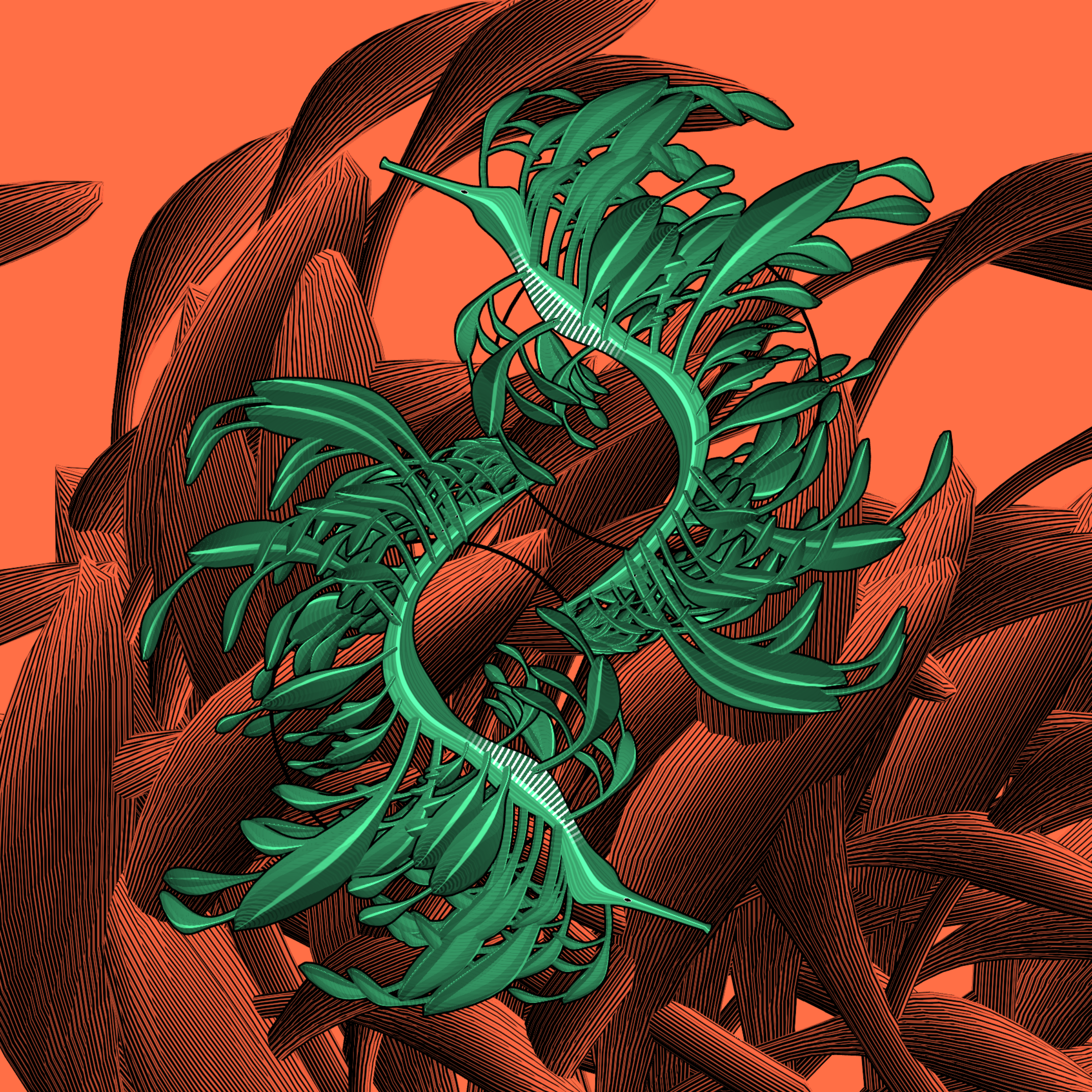Seadragons #73