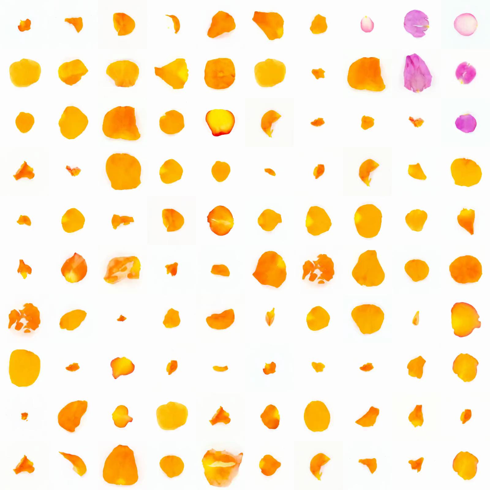 Infinite Petals 10x10#10029