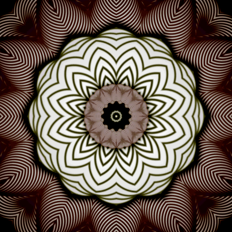 The Flower of the Afterlife