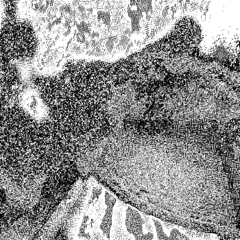 Noise #365 