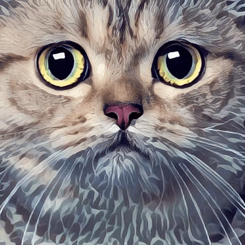 Cat #17