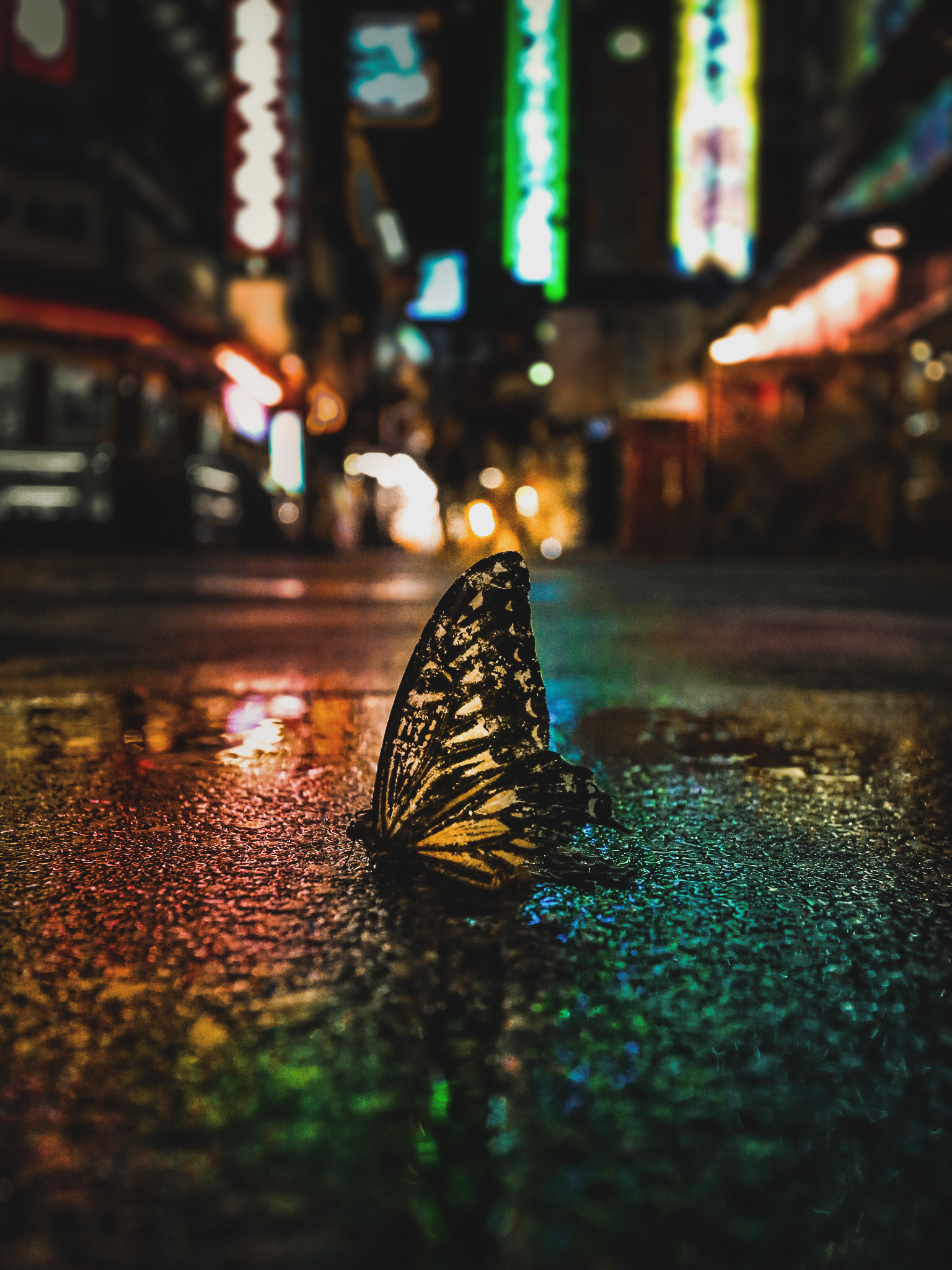 Beautiful End