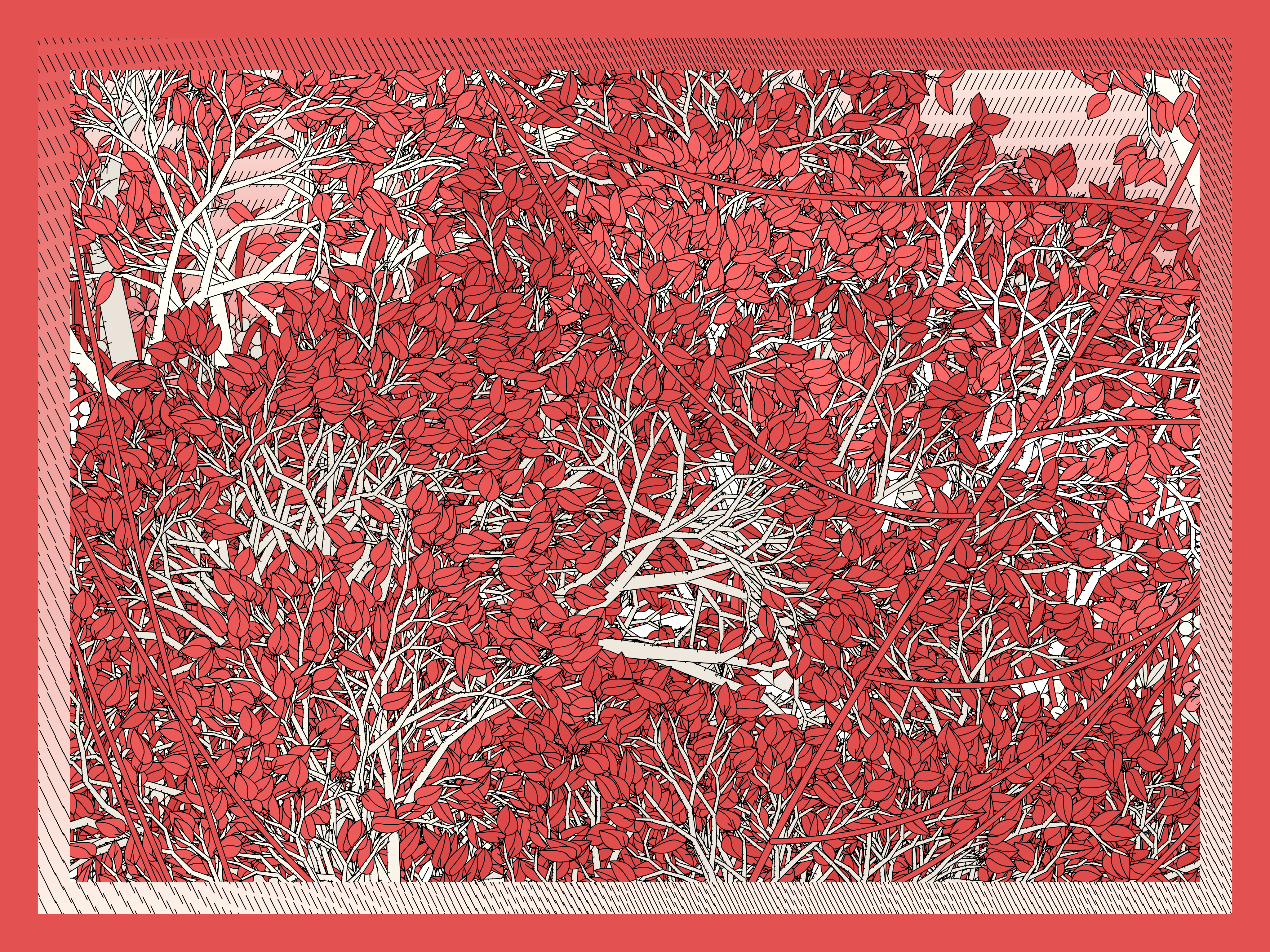 Entangled #230