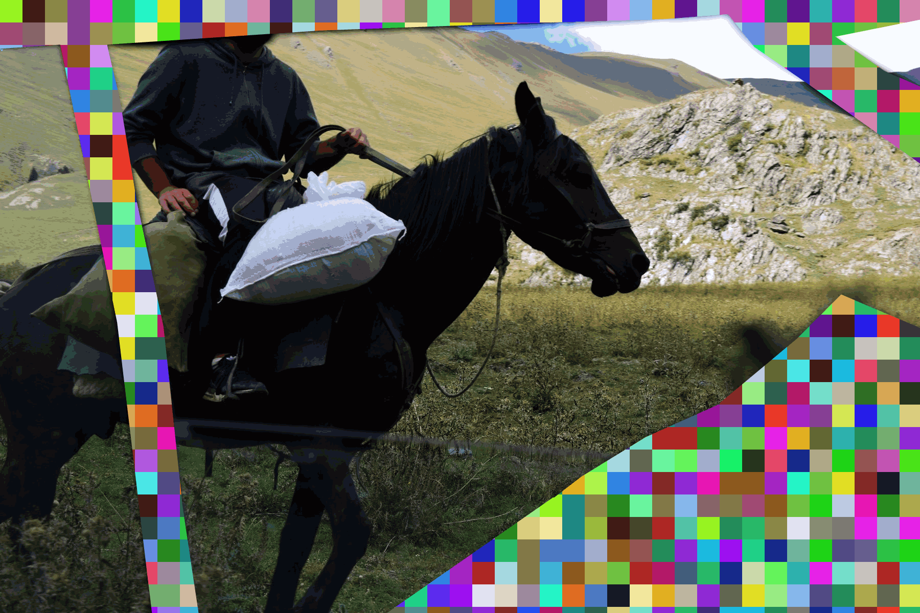 Dartlo rider Y