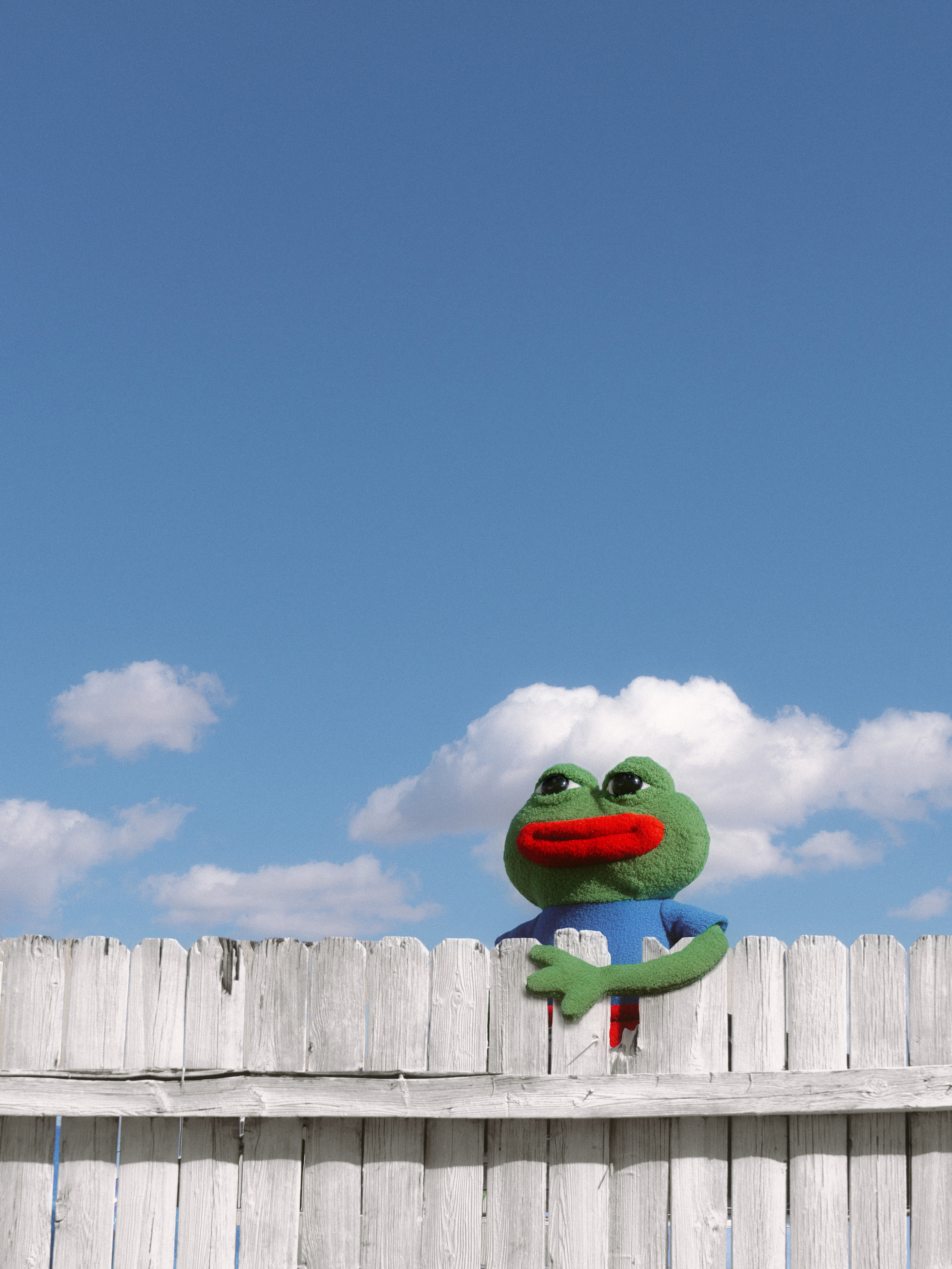 My Neighbor Pepe