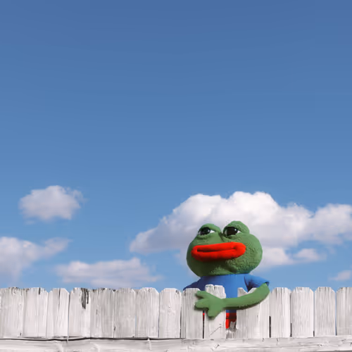 My Neighbor Pepe