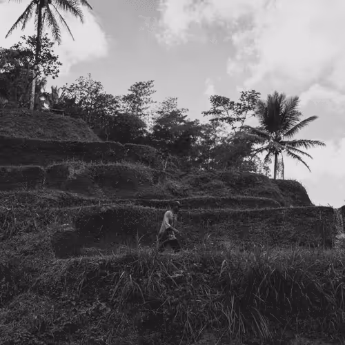 Bali in Black & White #27
