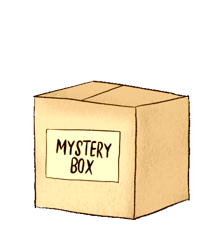 Mystery Box (High Tier)
