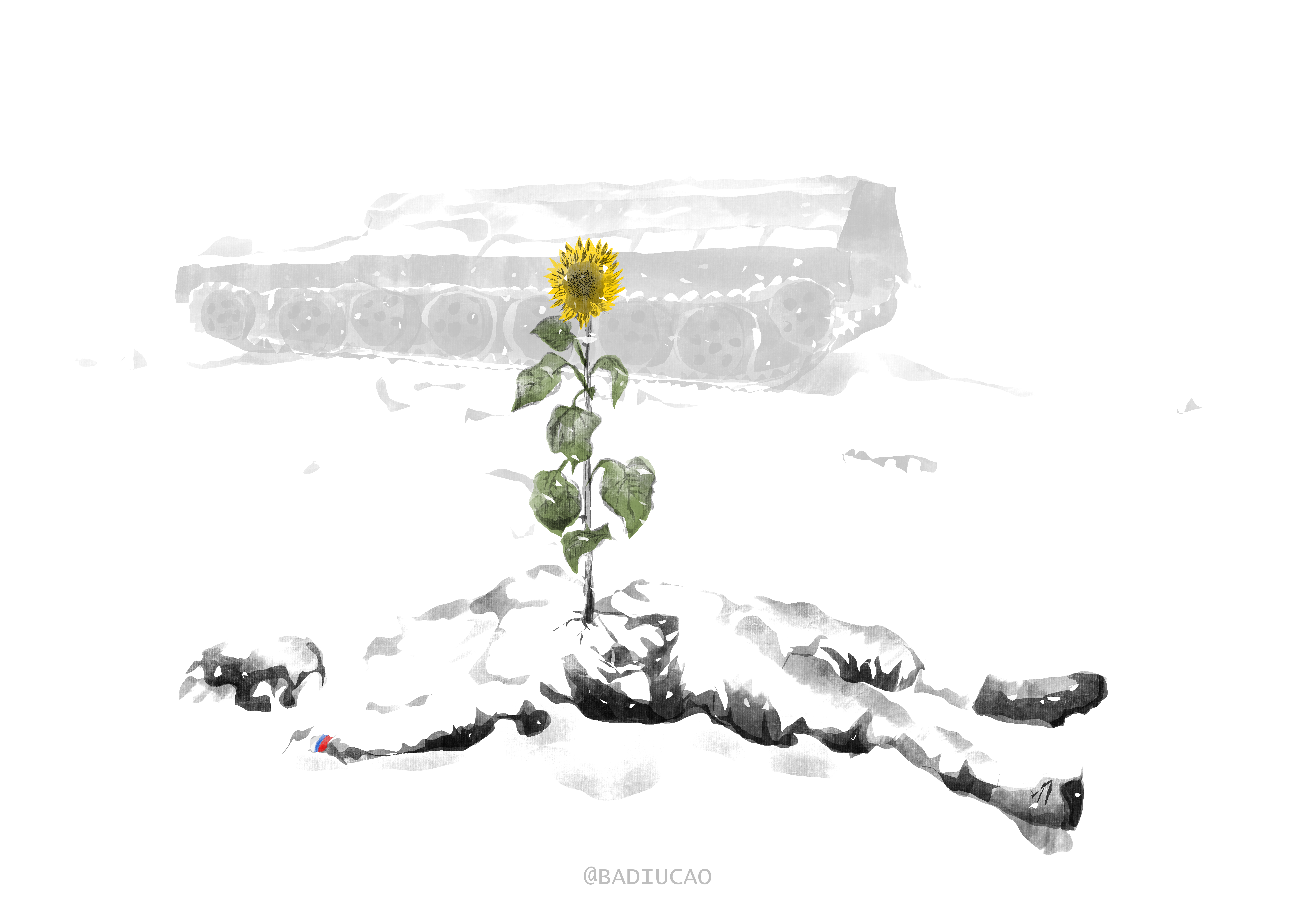 Germination