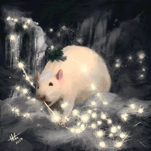 Happy New Rat | Bogdan