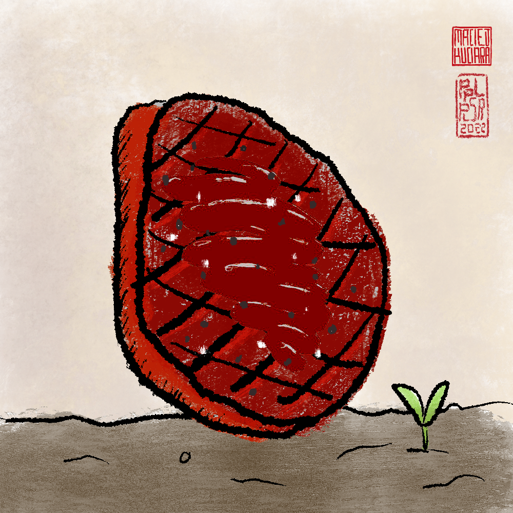 Steak #34