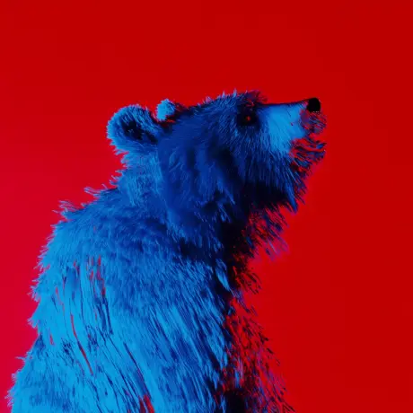 bear #631
