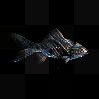 CryptoFish #2416