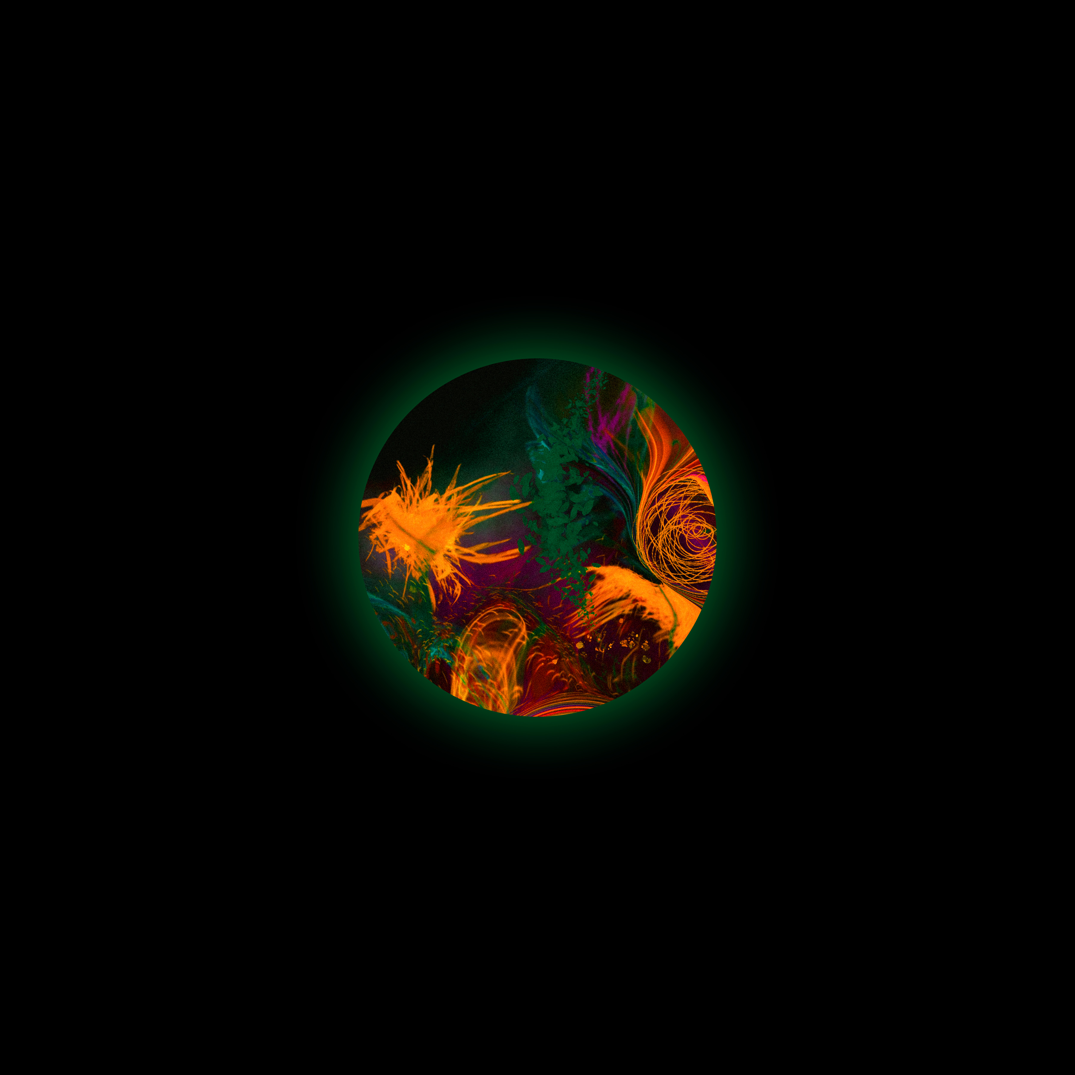 S001_0003