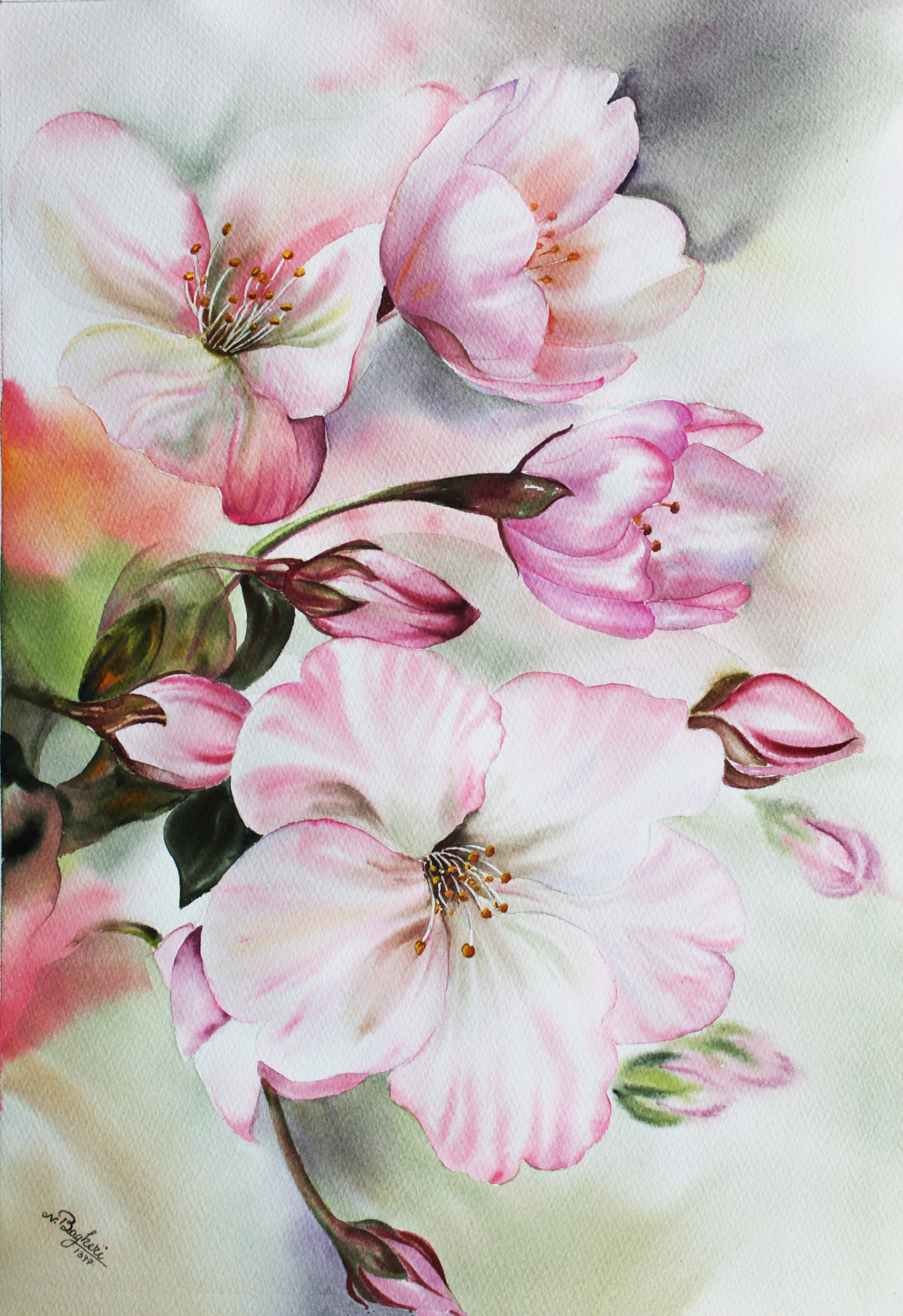 blossom