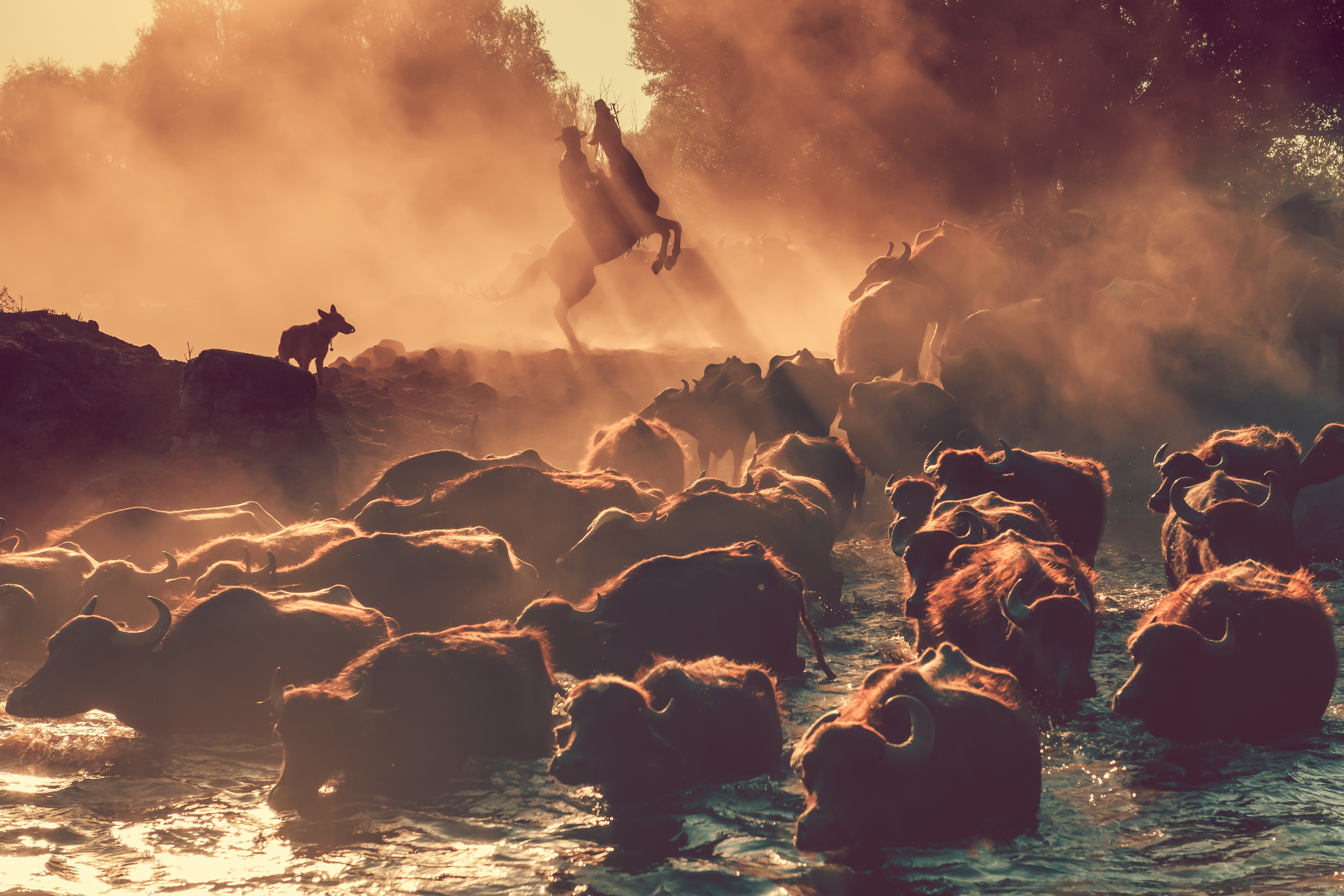 The Sunset Bath