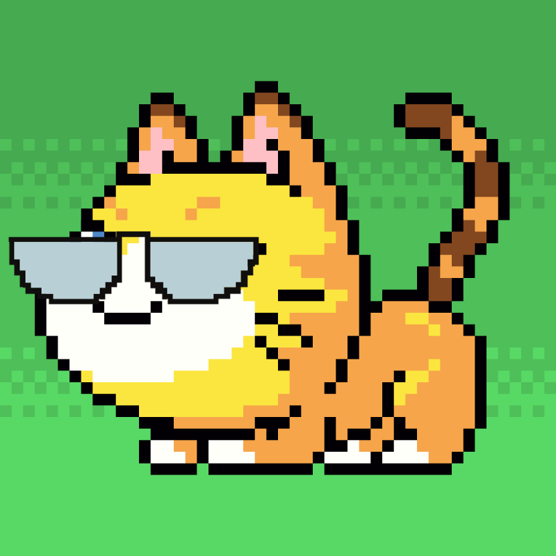 Catxoxo #2217