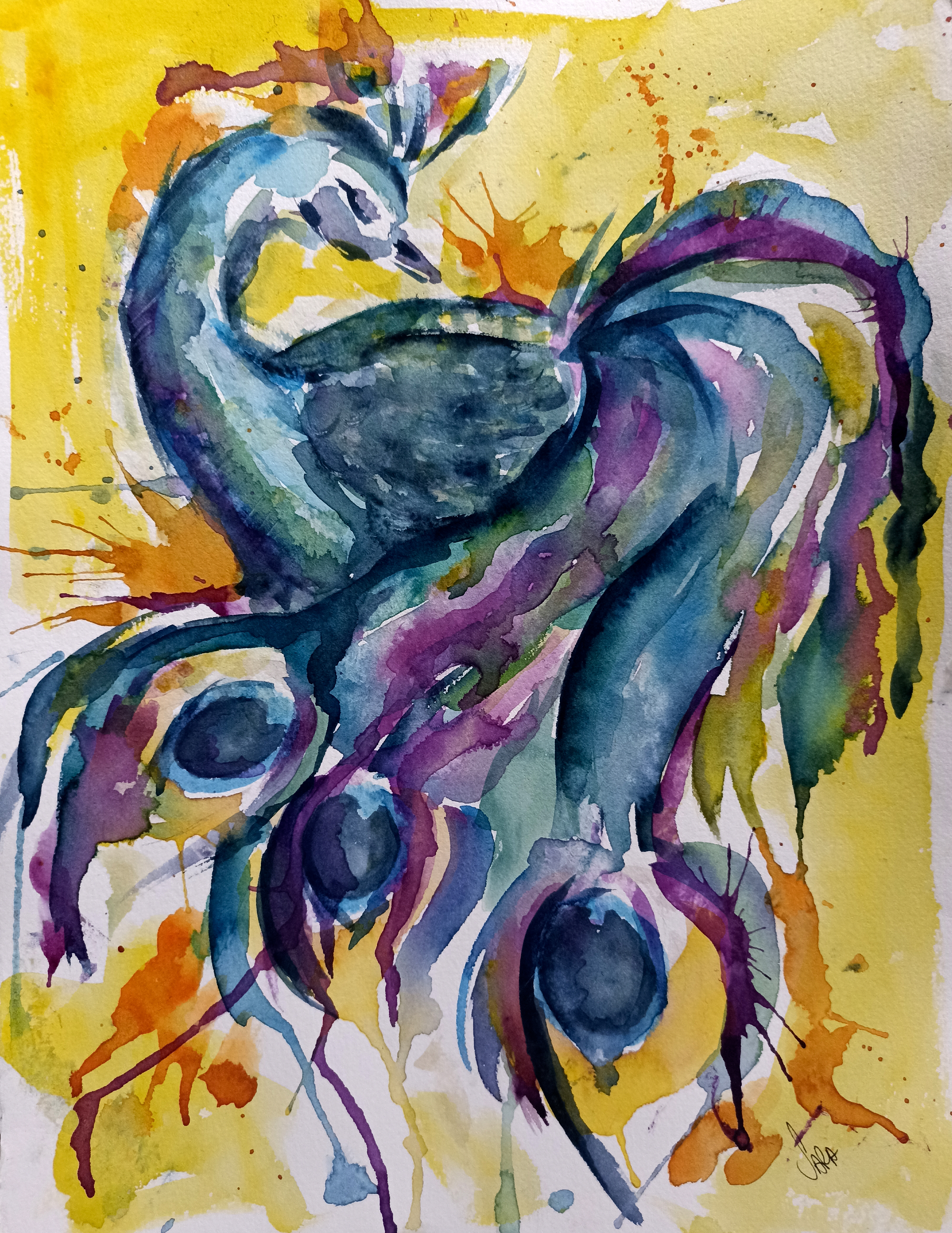 The peacock (V2)
