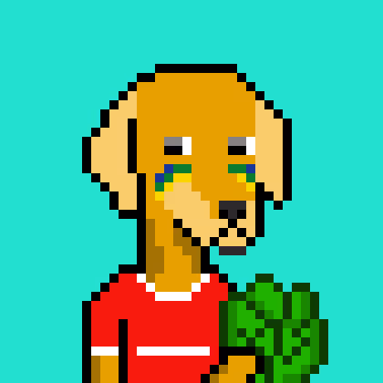ViralataFunk #8379