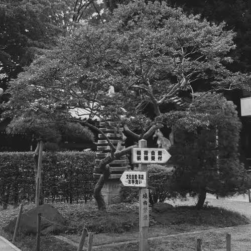 Tokyo: A Love Story #18