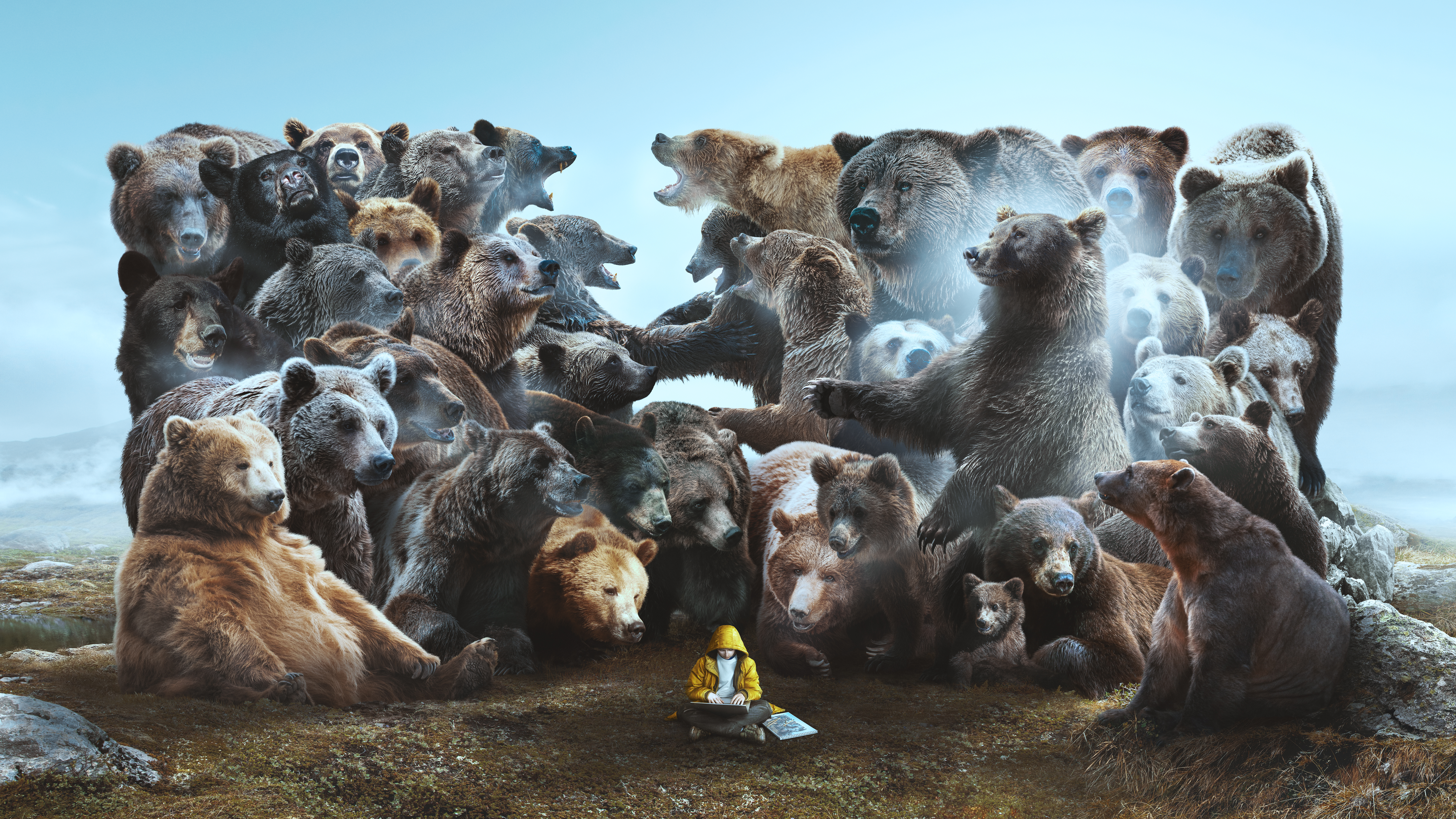 BEAR MARKET