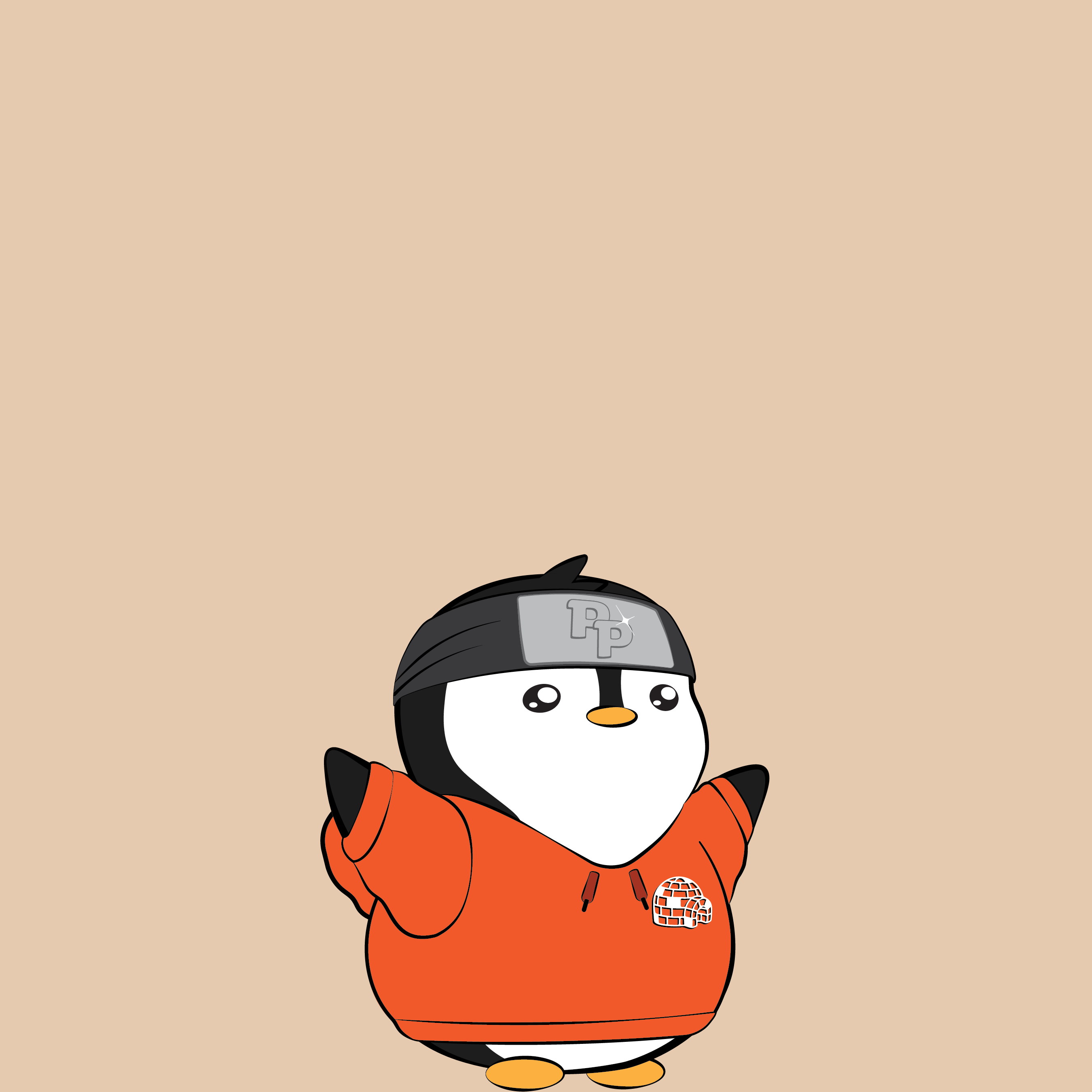 Lil #20675