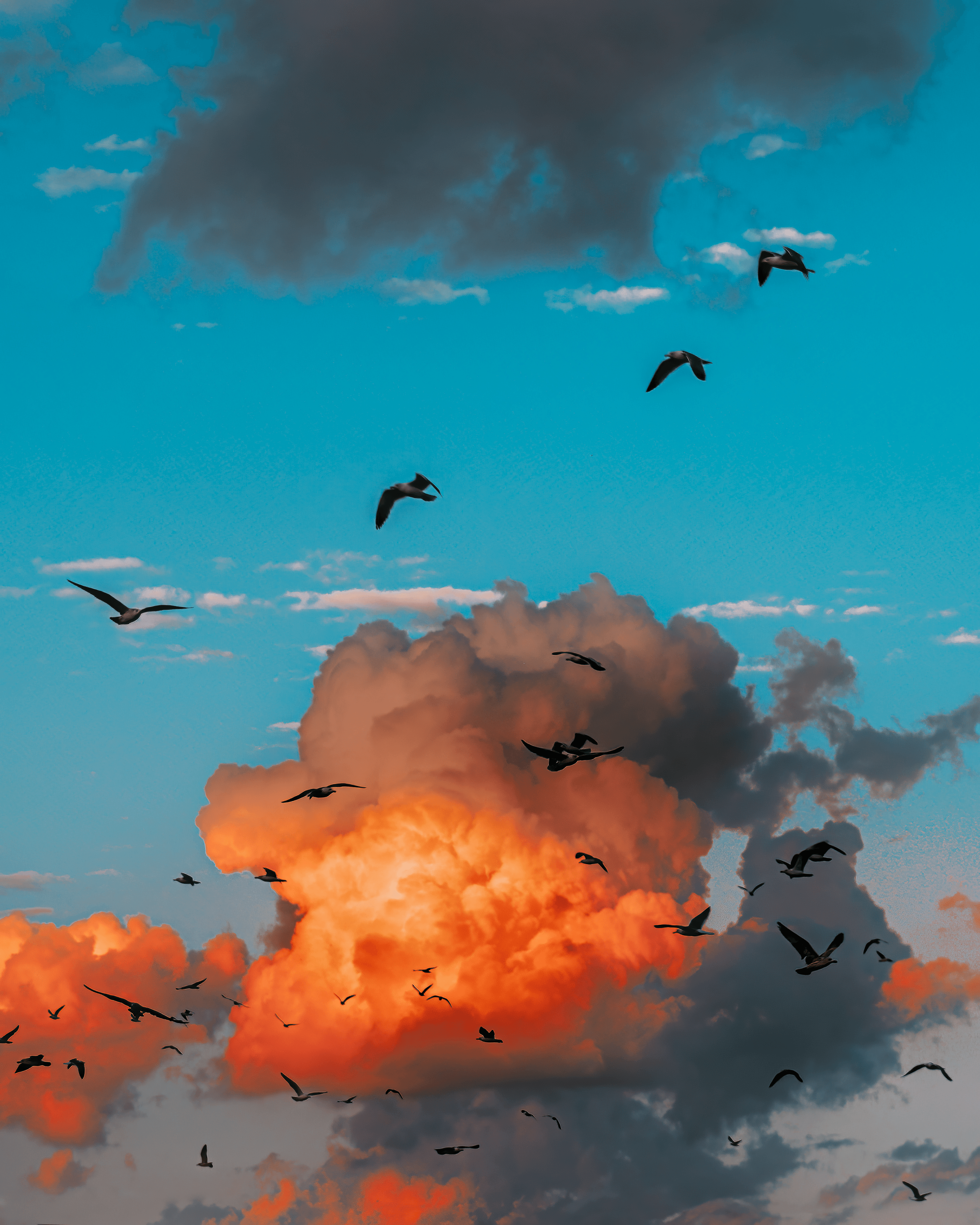 Flock of us #44
