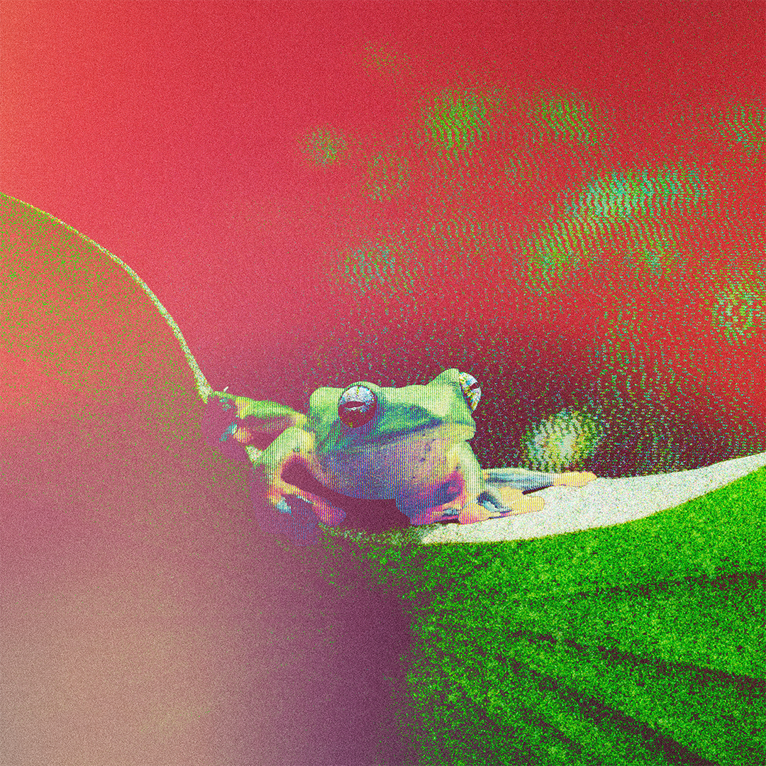 fr0̷g_006