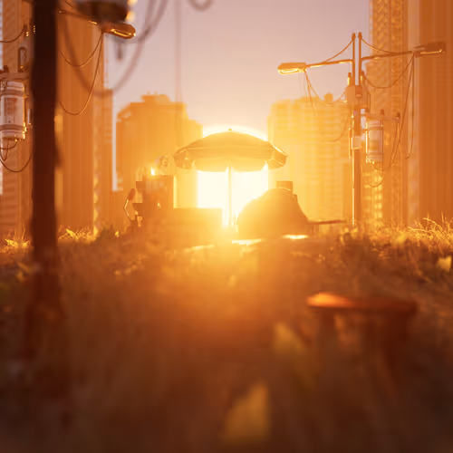 Sunset On A Hill