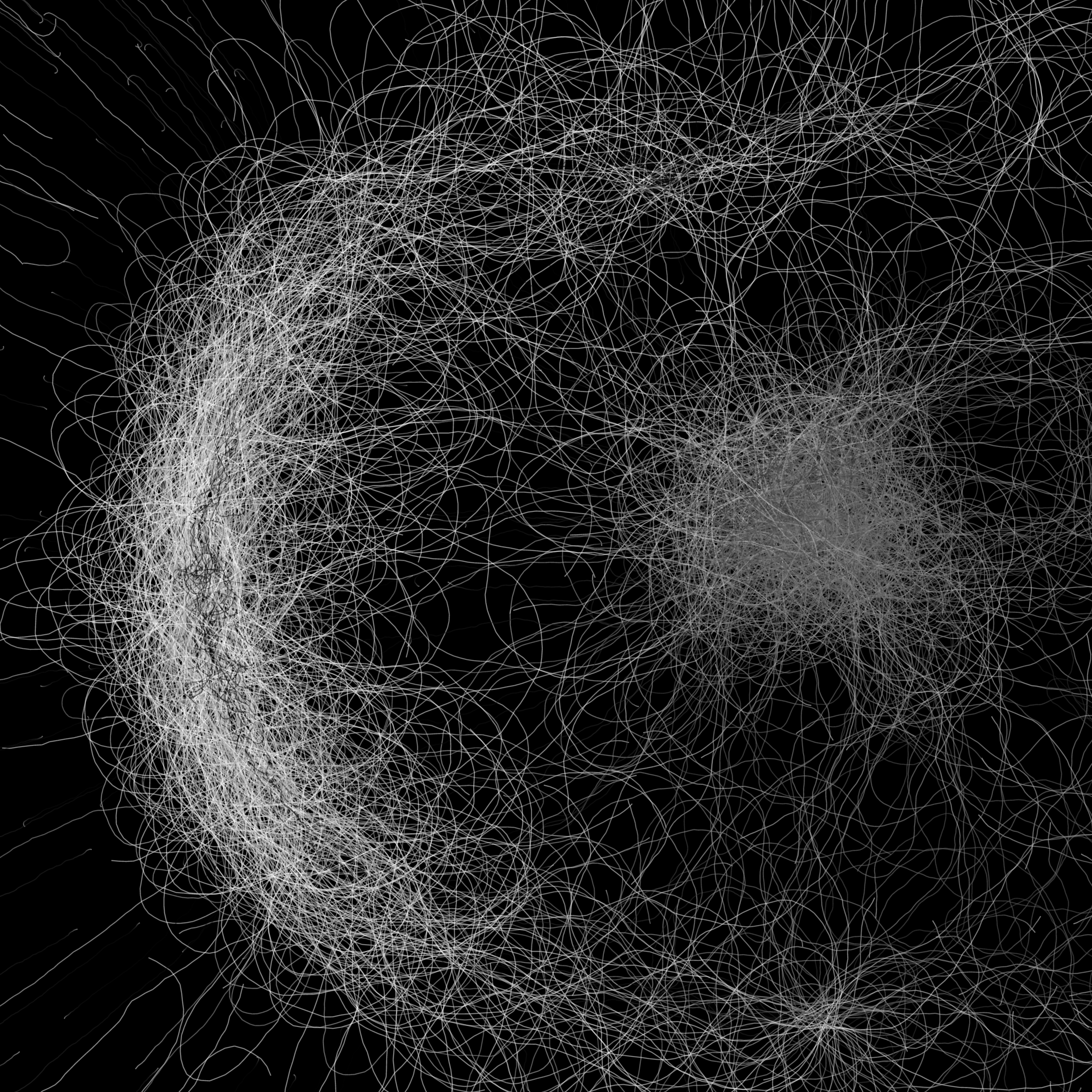 Phototaxis #957