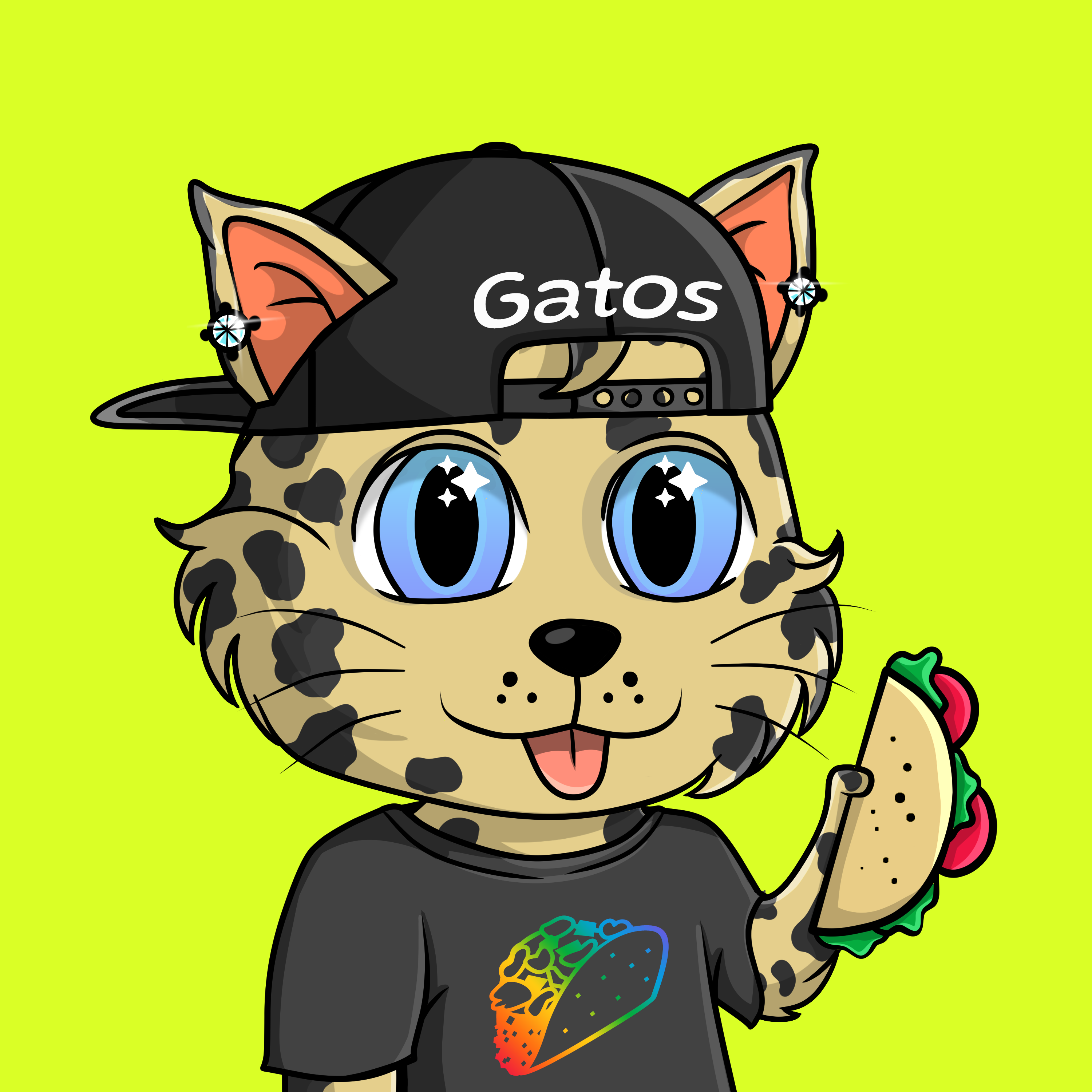 Taco Gato #2247
