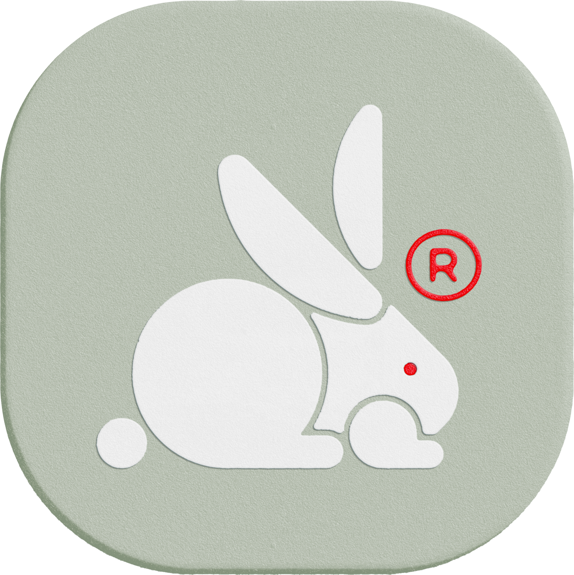 WHITE RABBIT 067