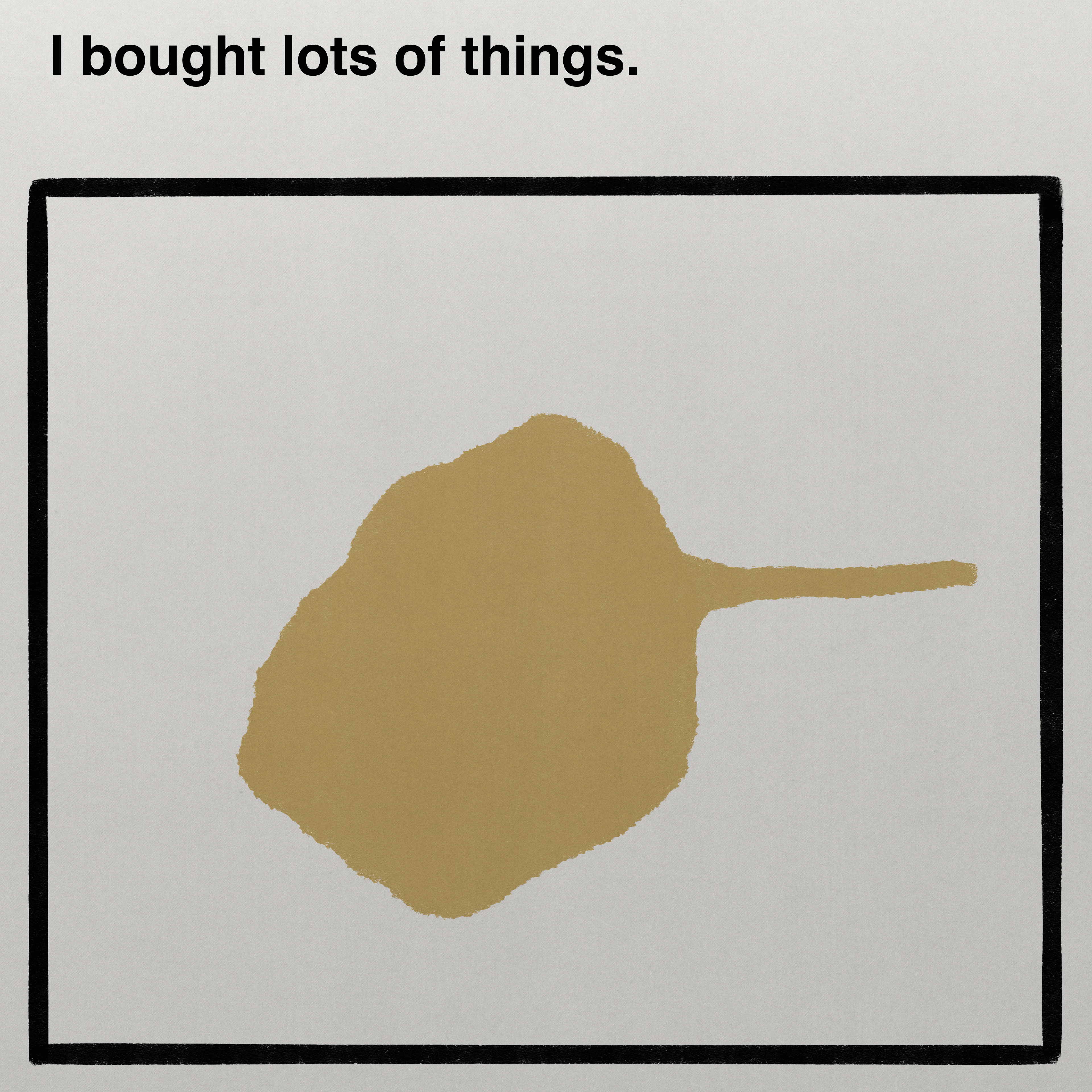 I bought lots of things.