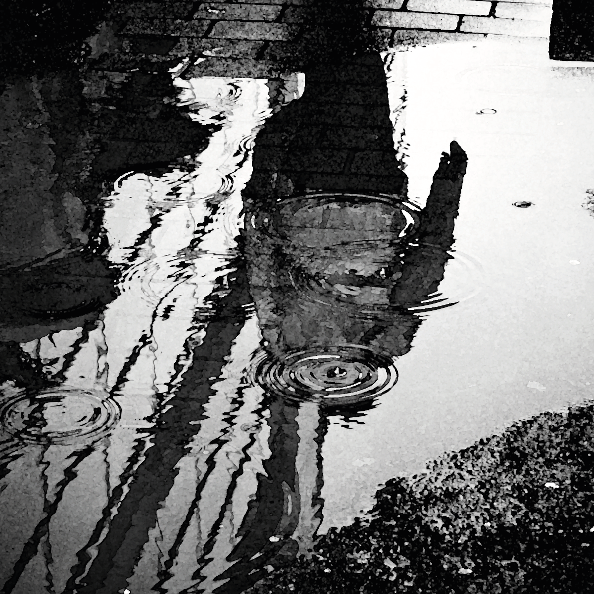 rain