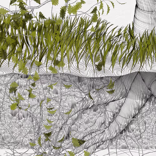 The Oak Tree part #-1,-1
