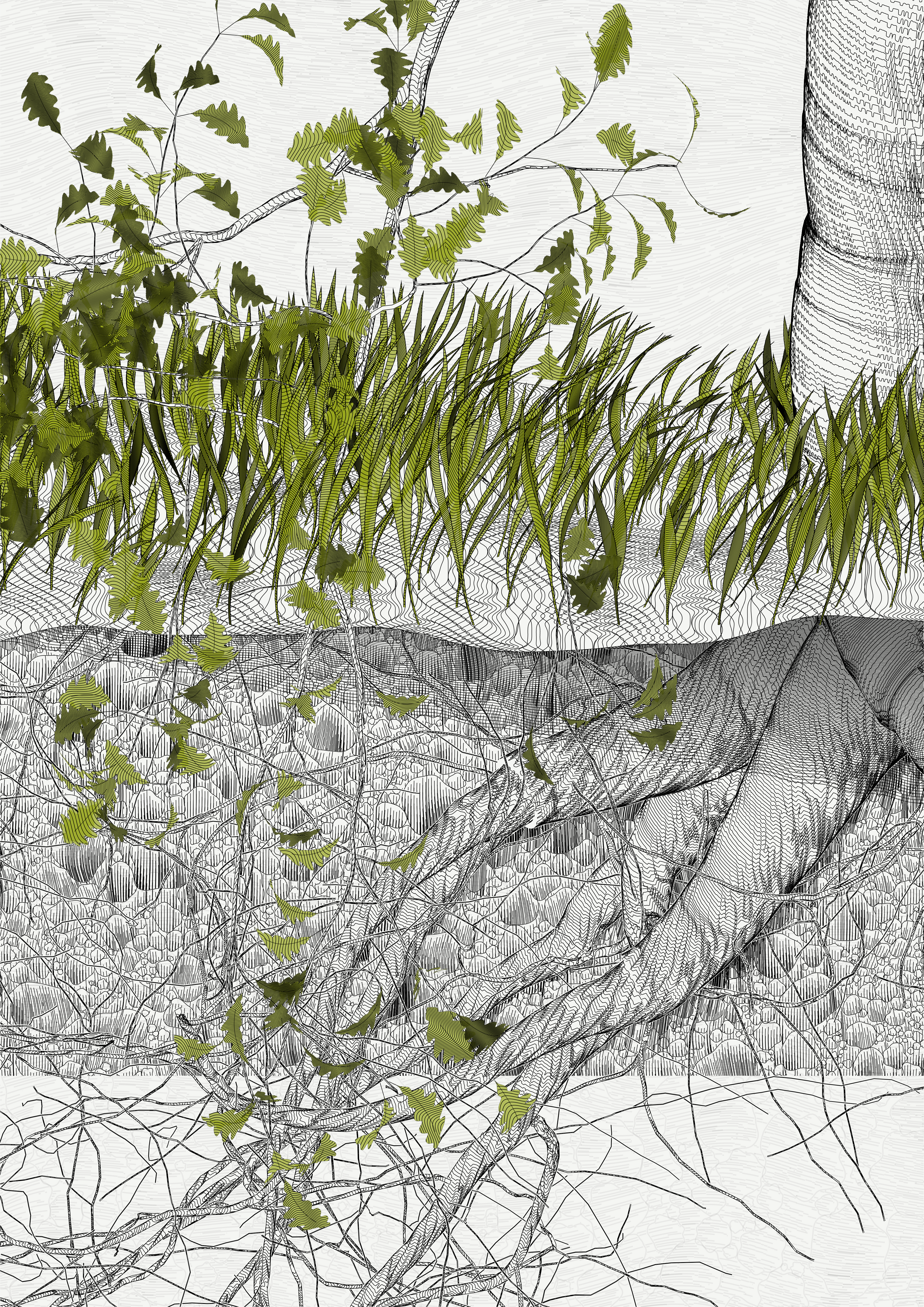 The Oak Tree part #-1,-1