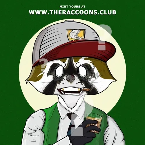 Raccoon #103