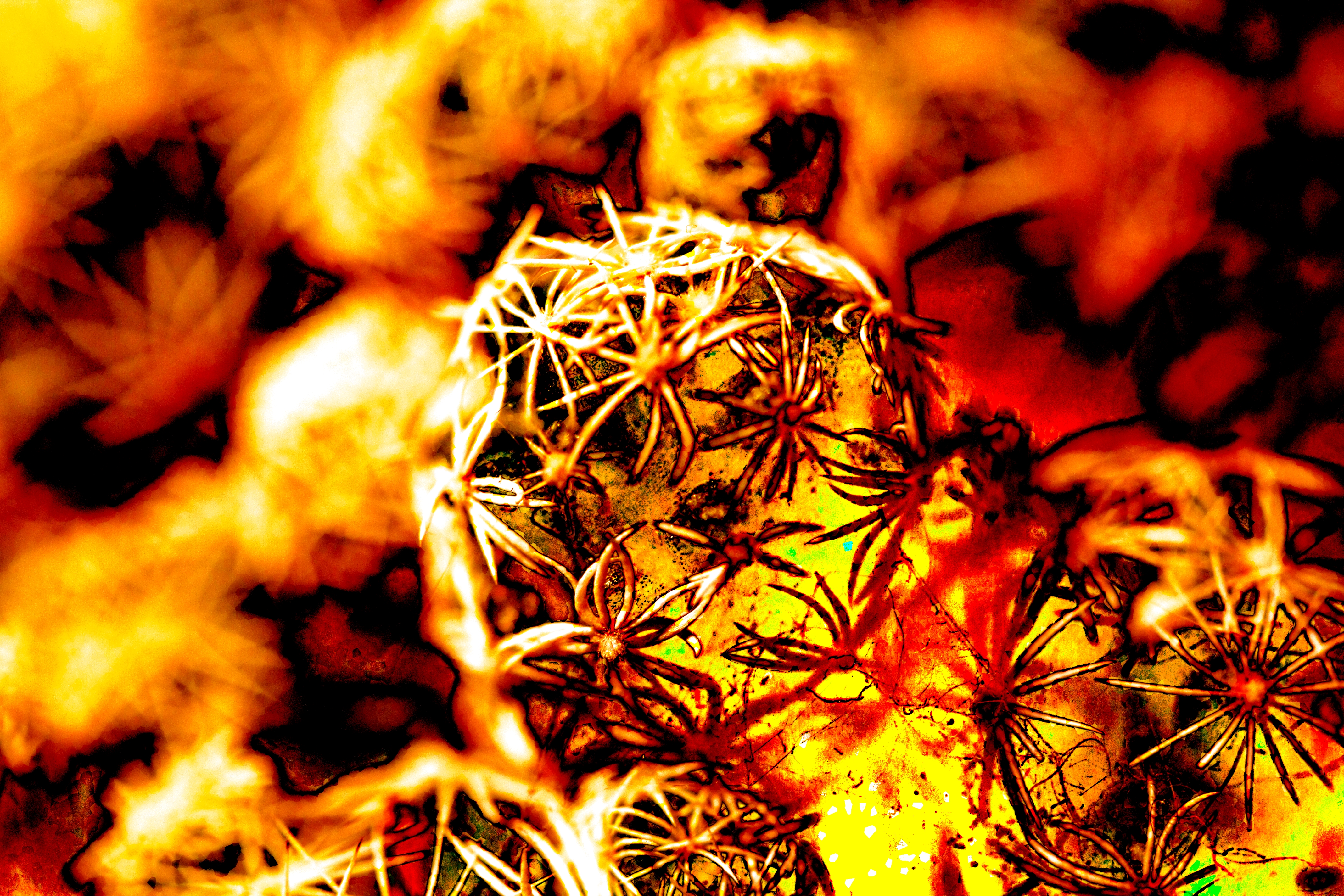 #92.2 - cactus flame
