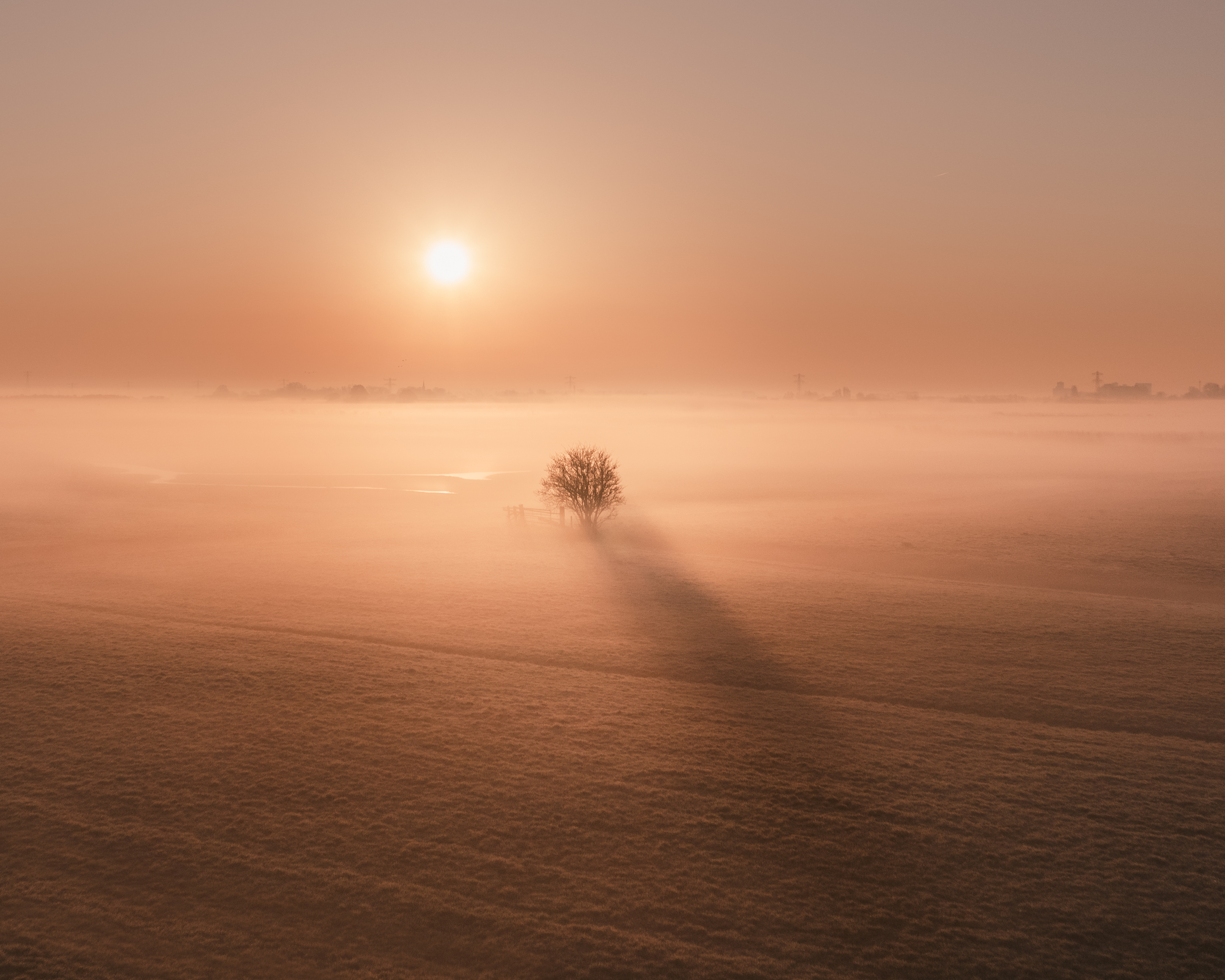 A Field of Dreams #1/21