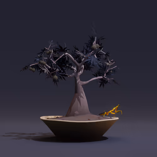 Bonsai #5333
