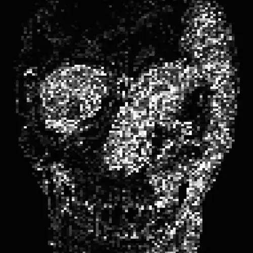 Memento Mori #370