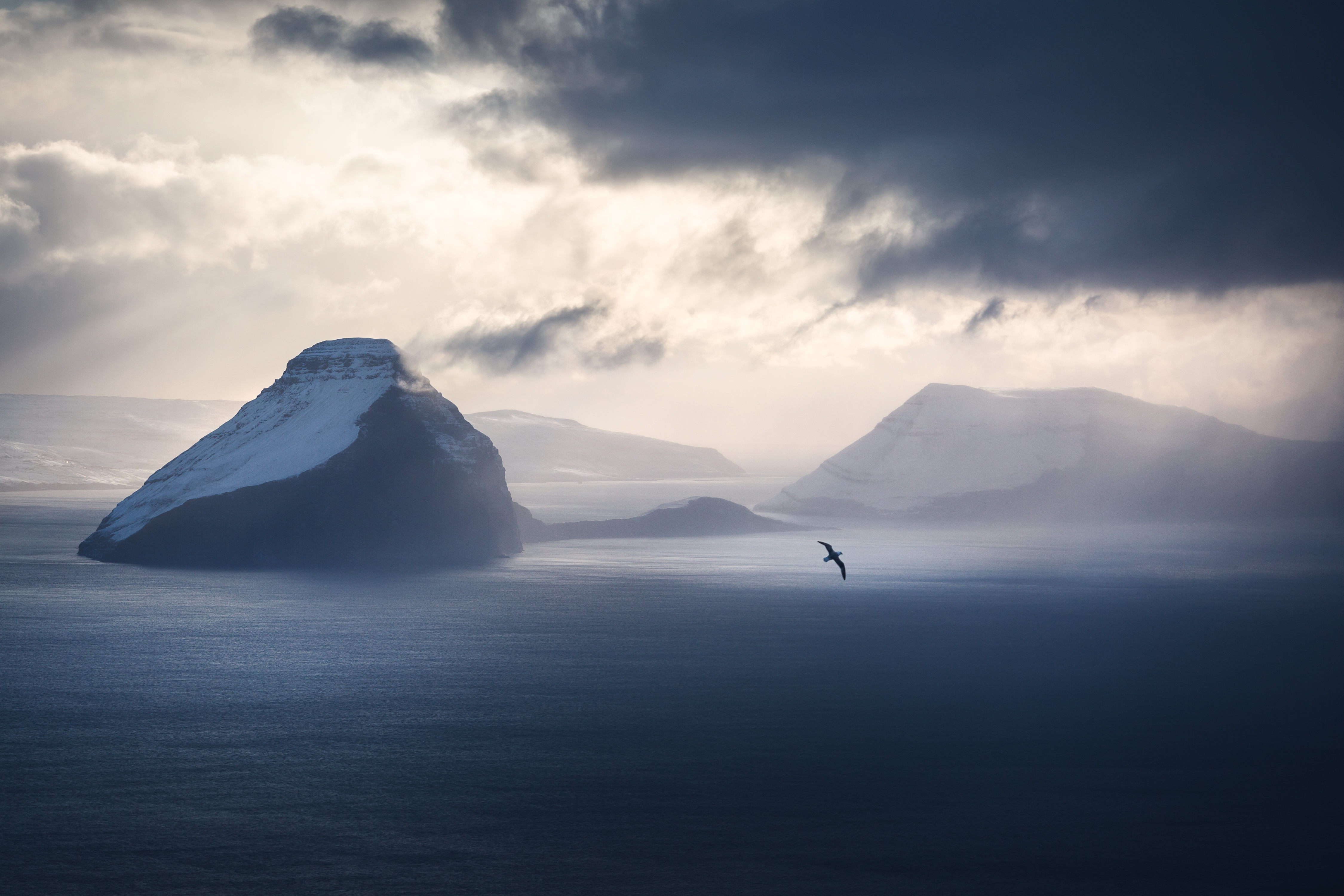 Wilderness to Blockchain #29 - An ocean away