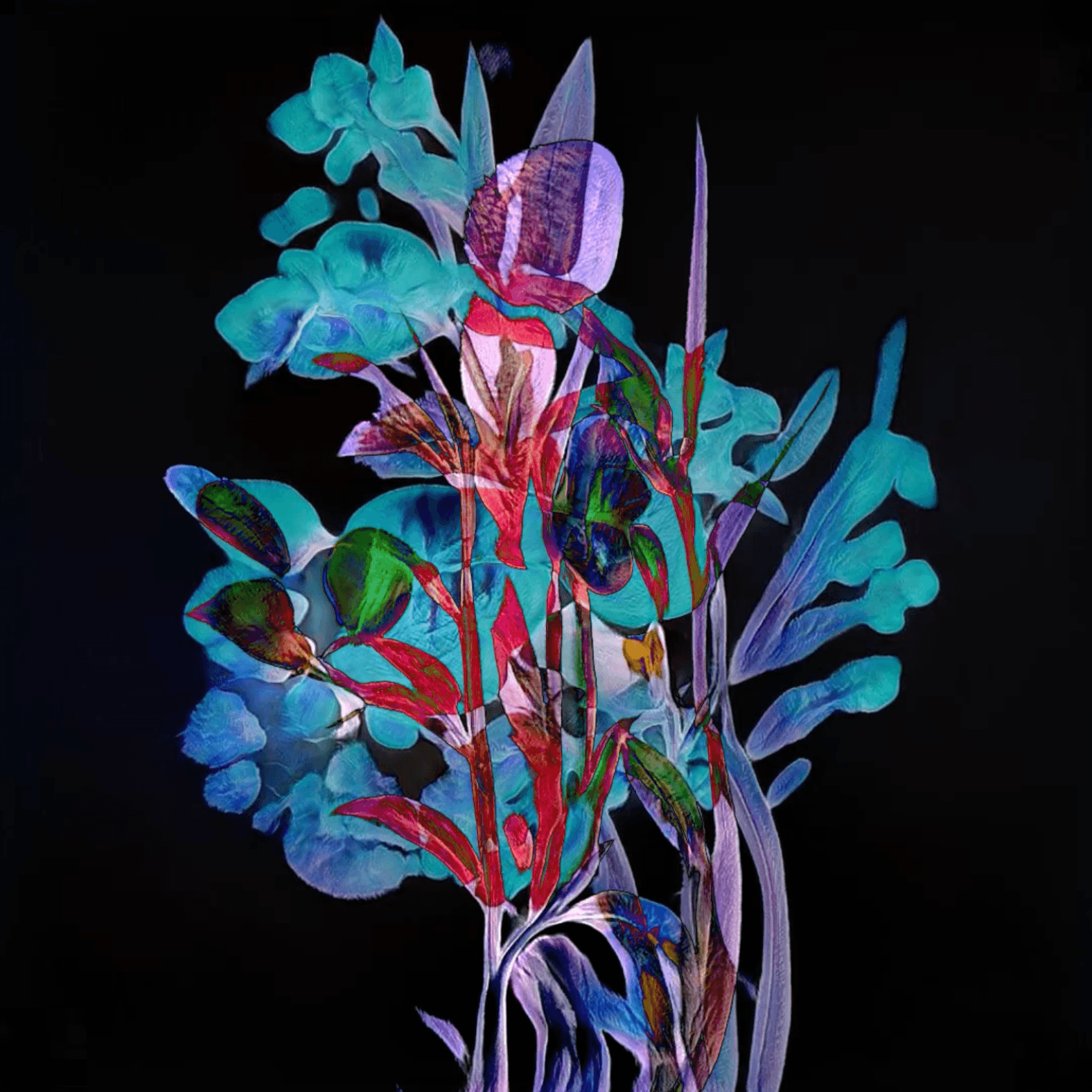 Floral Shift - Araceae extra