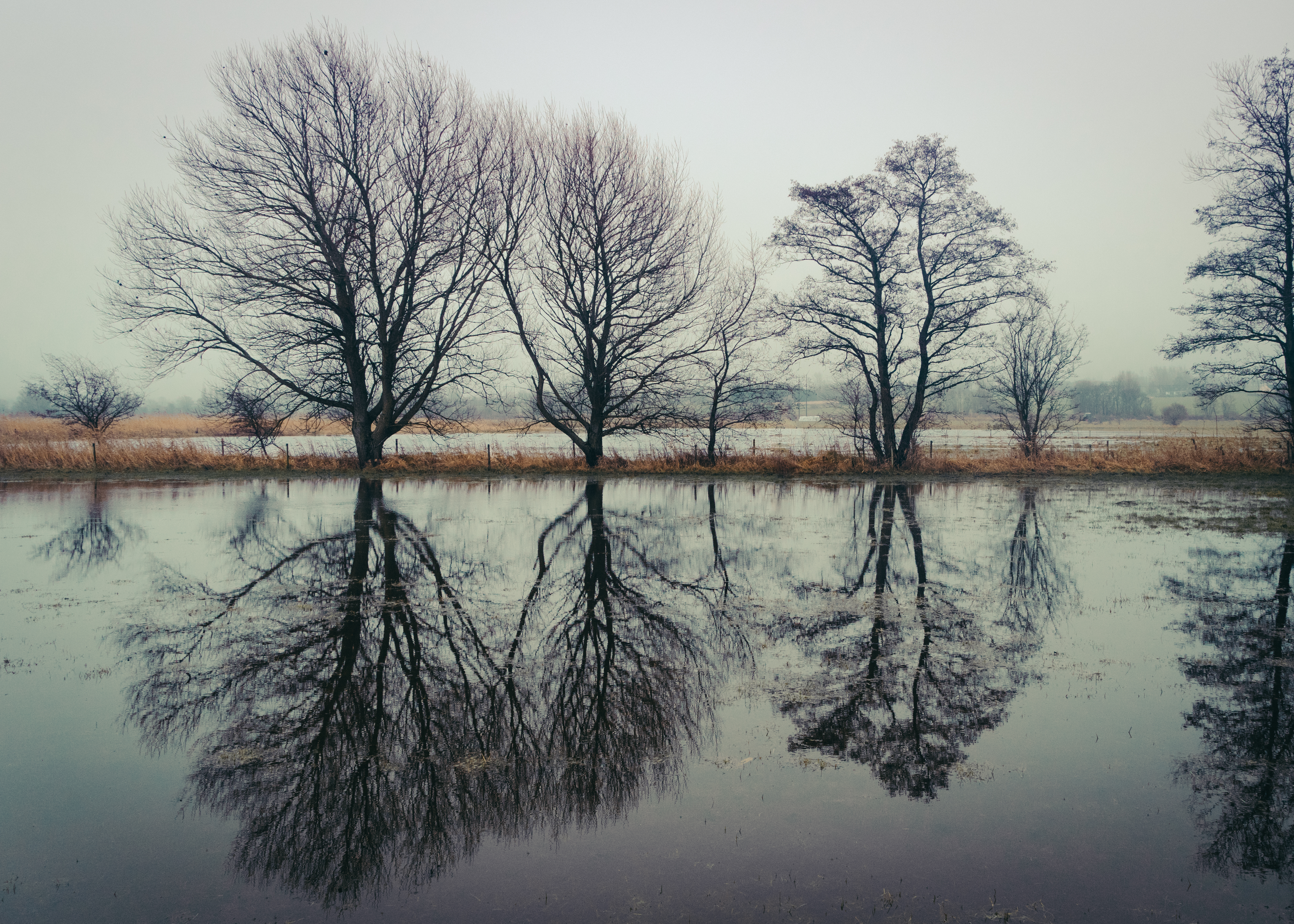 Reflection