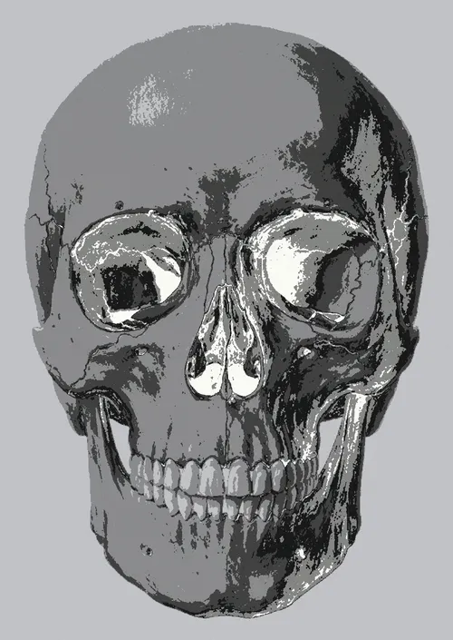 Memento Mori #245