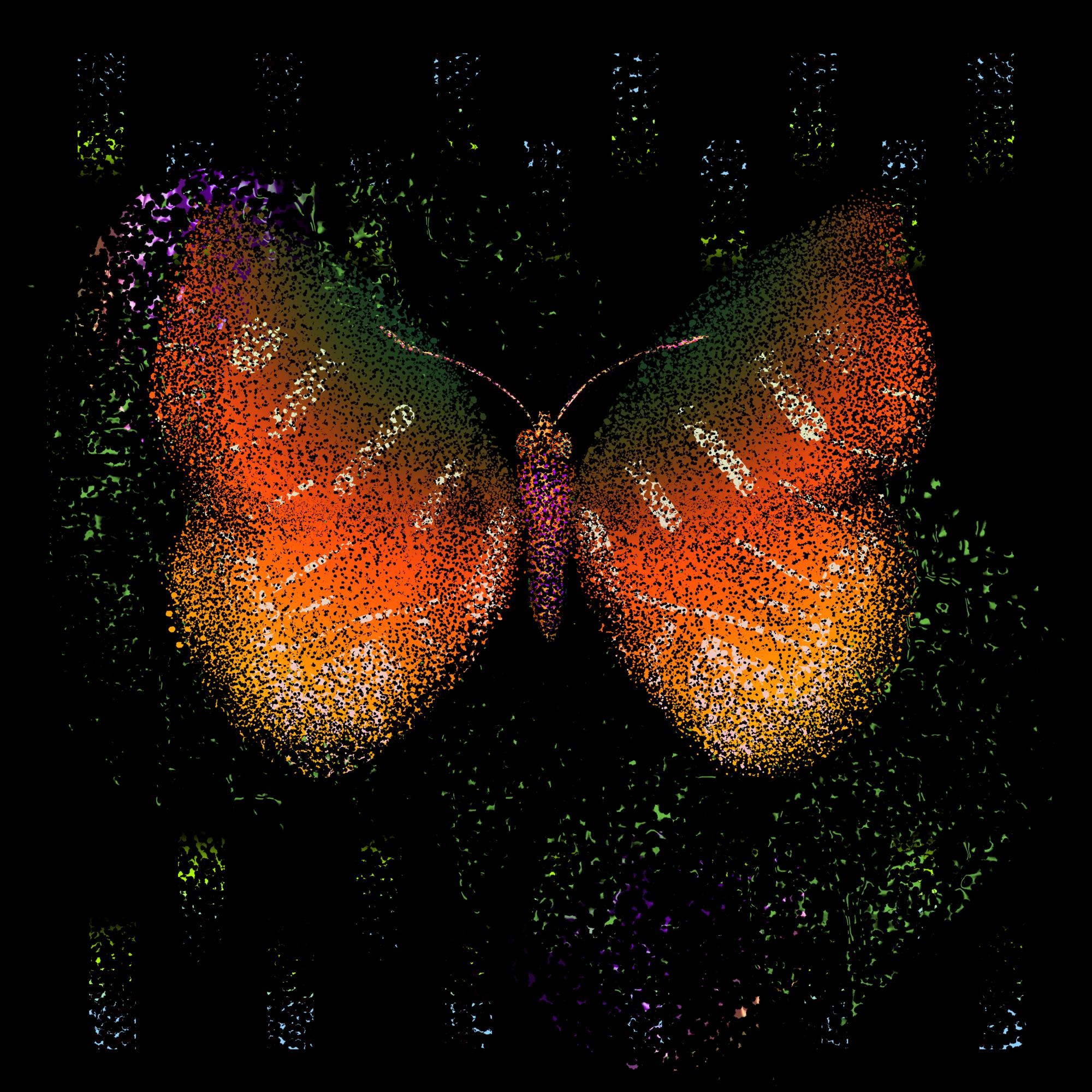 Monarch #136
