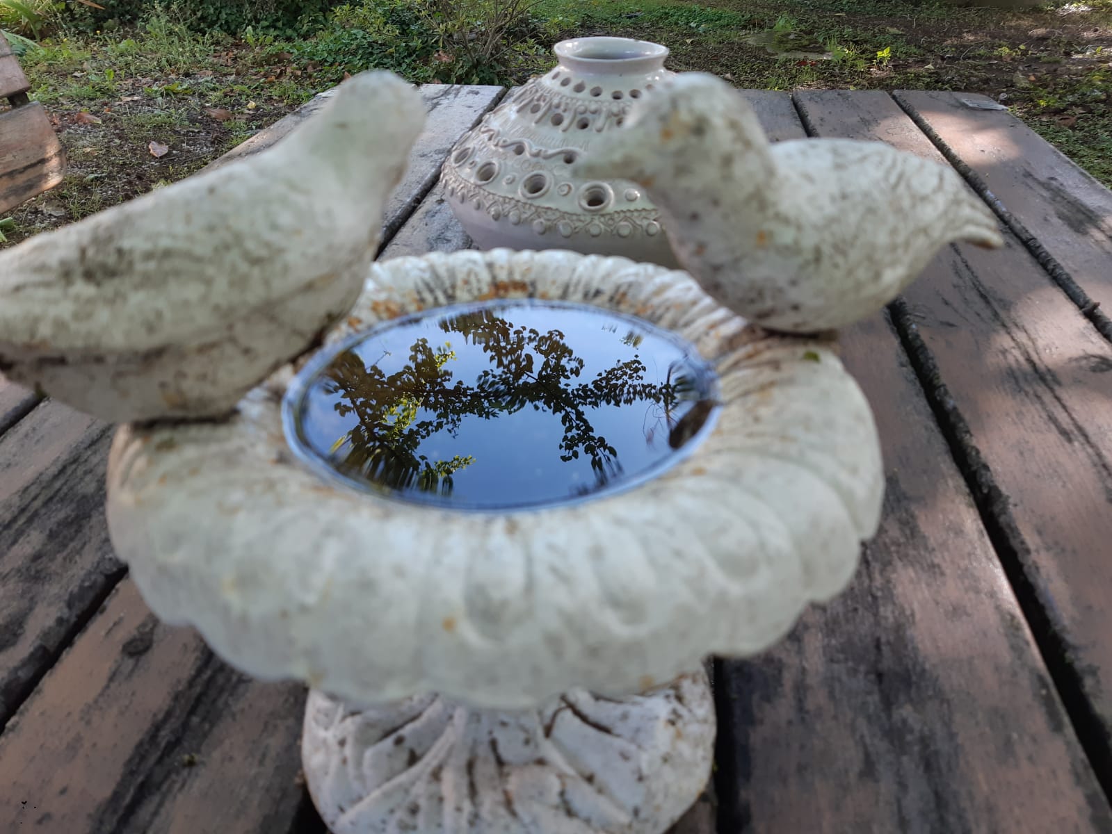 Reflection