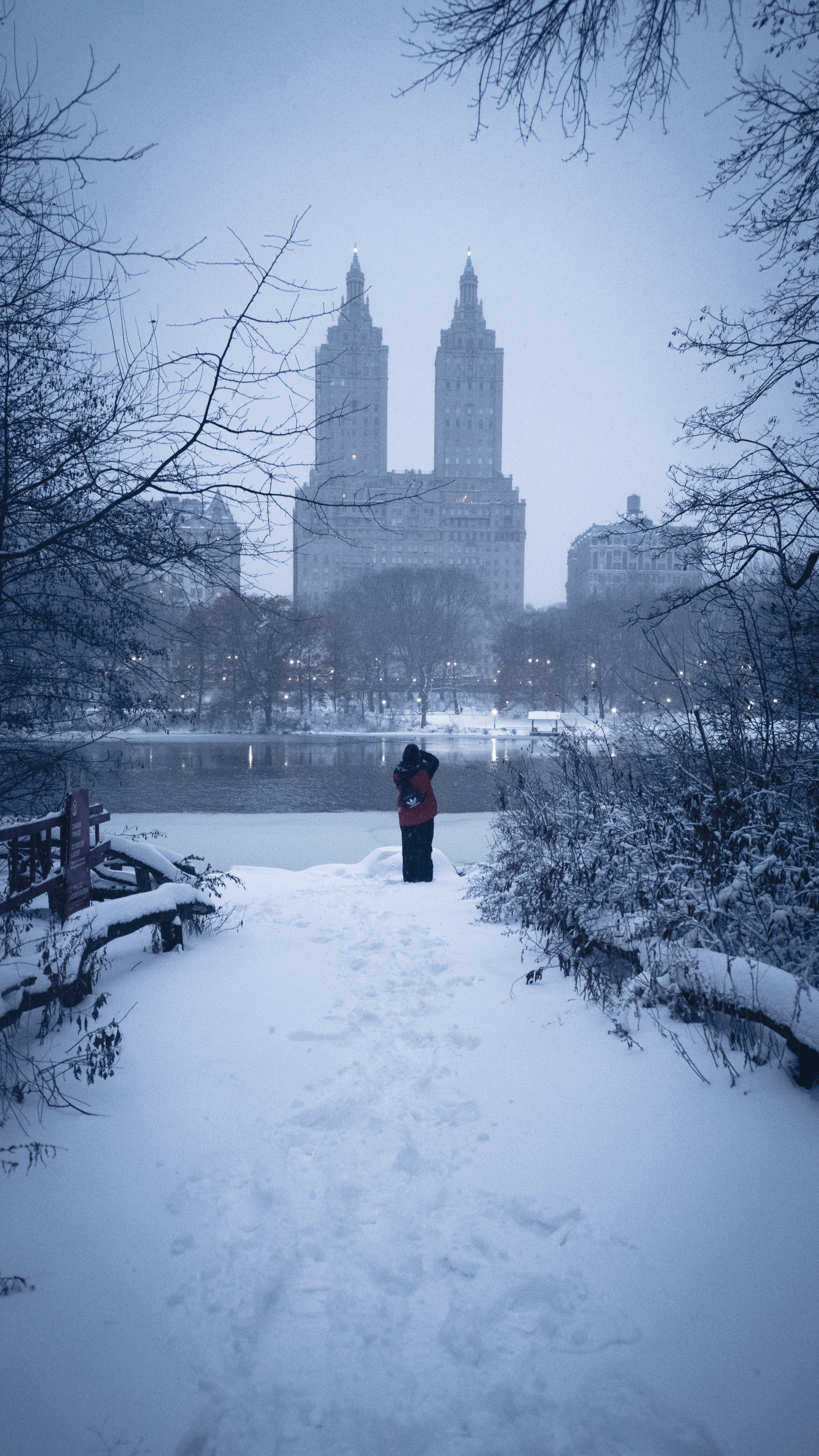 Snow Days In NYC - 3