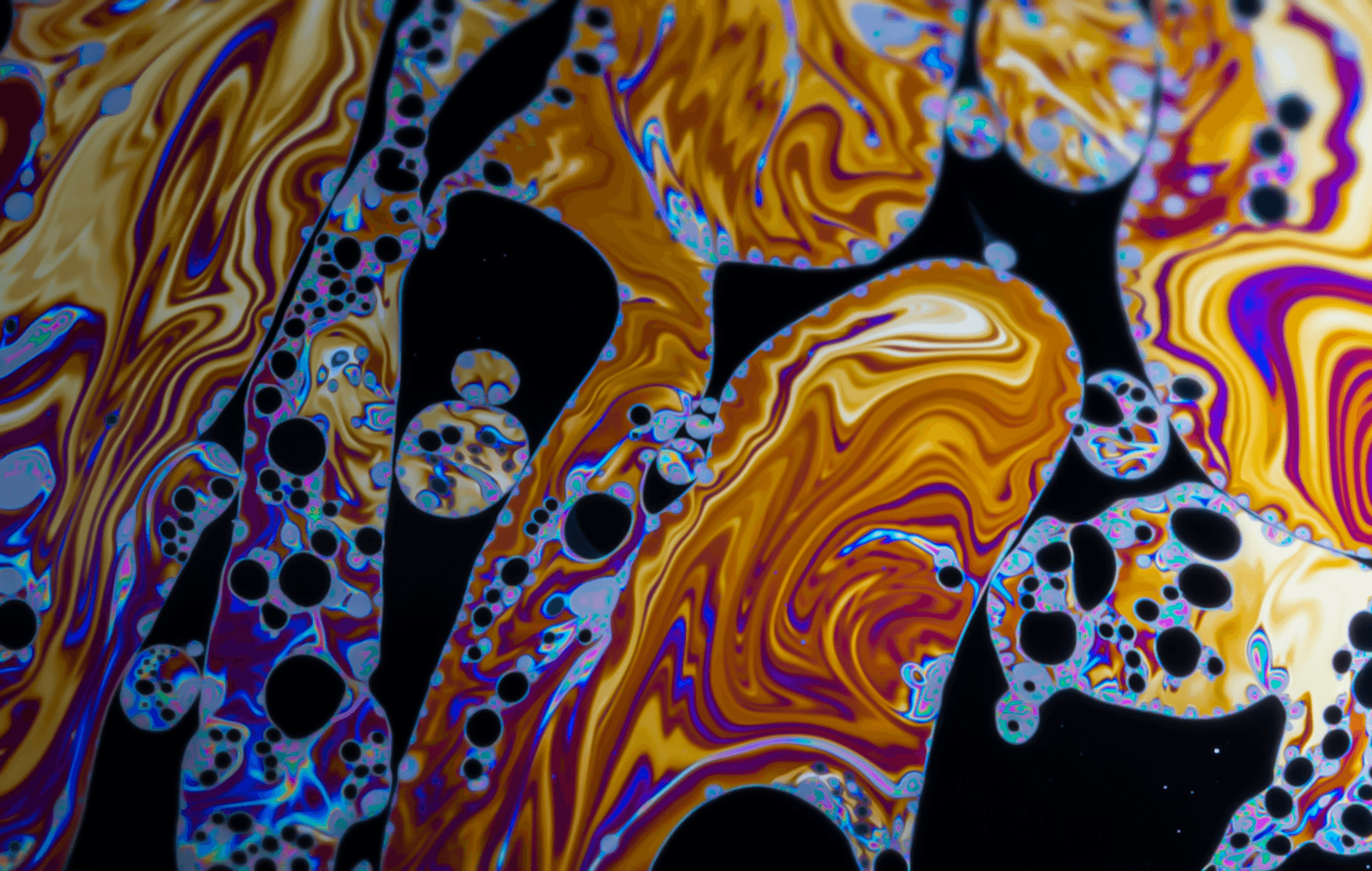 Microanatomy