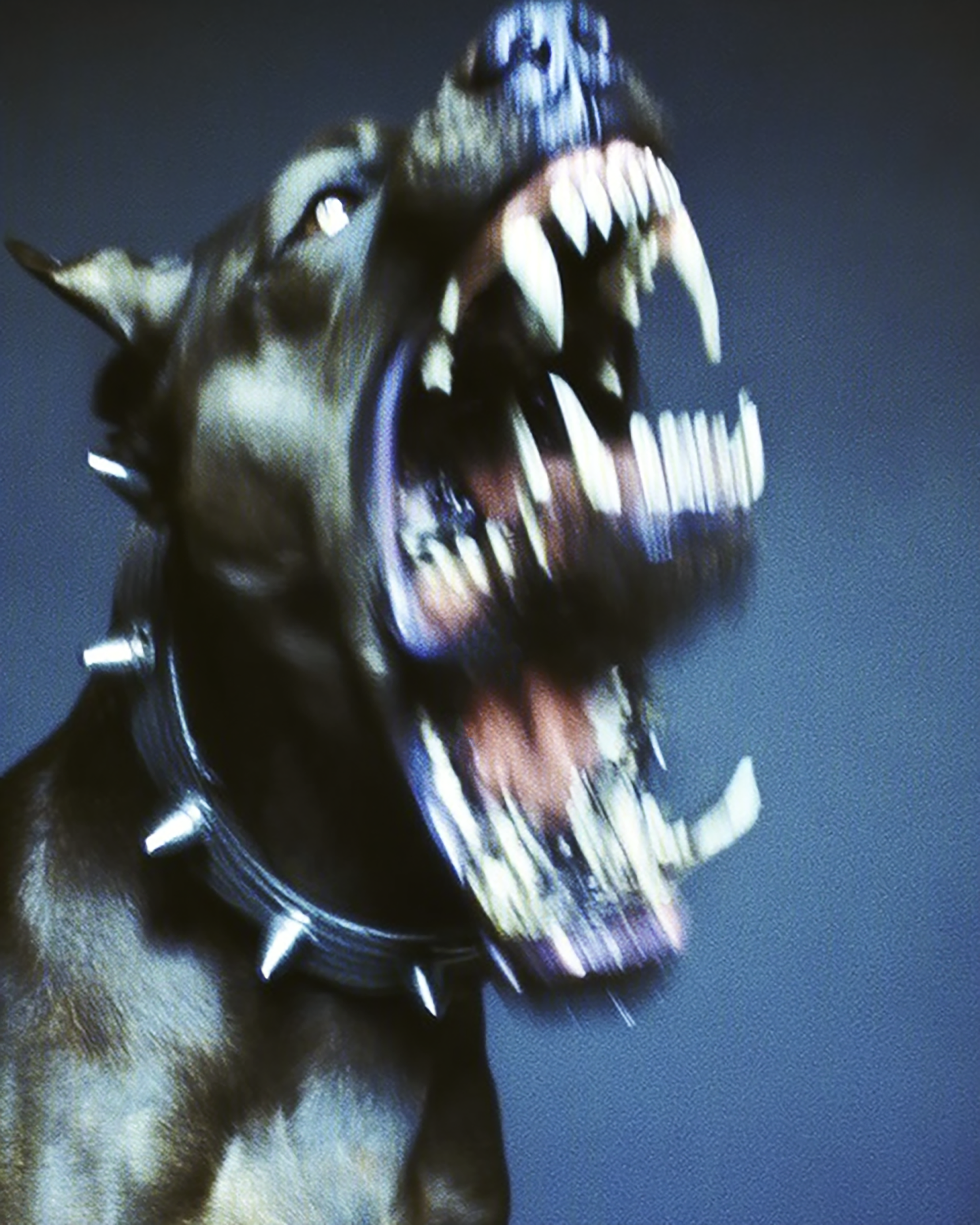 Bite #41